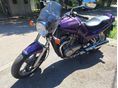 SUZUKI VX 800 