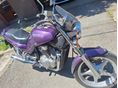 SUZUKI VX 800 1994/6 - 2
