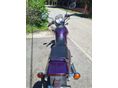 SUZUKI VX 800 1994/6 - 6