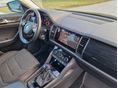 SKODA KODIAQ 2021/5 - 3