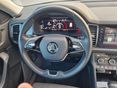 SKODA KODIAQ 2021/5 - 4