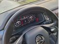 SKODA KODIAQ 2021/5 - 22