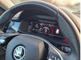 SKODA KODIAQ 2021/5 - 27