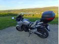 HONDA CBF 600 2006/7 - 2