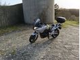 HONDA CBF 600 2006/7 - 6