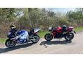 TRIUMPH STREET TRIPLE 675 2008/6 - 2
