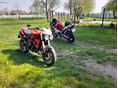 TRIUMPH STREET TRIPLE 675 2008/6 - 3