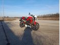TRIUMPH STREET TRIPLE 675 2008/6 - 5