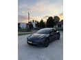 TESLA MODEL 3 2021/3 - 2