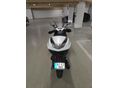 HONDA SH 350 2024/6 - 3