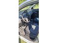 TATA INDICA 2012/2 - 8
