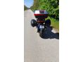 HONDA CBF 600 2005/5 - 4