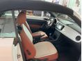 VOLKSWAGEN NEW BEETLE 2014/5 - 13