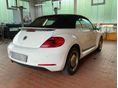VOLKSWAGEN NEW BEETLE 2014/5 - 4