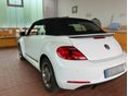 VOLKSWAGEN NEW BEETLE 2014/5 - 6