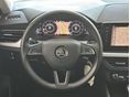 SKODA SCALA 2019/11 - 19