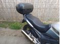 YAMAHA TDM 900 2005/2 - 6