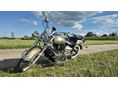 YAMAHA XVS 1100 DRAG STAR 2002/7 - 6