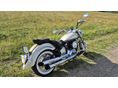 YAMAHA XVS 1100 DRAG STAR 2002/7 - 7