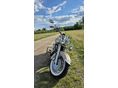 YAMAHA XVS 1100 DRAG STAR 2002/7 - 8