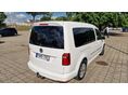 VOLKSWAGEN CADDY MAXI 2019/11 - 7