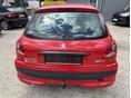 PEUGEOT 206 2010/4 - 5