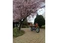 BMW R 45 1978 - 2