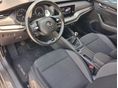 SKODA OCTAVIA 2023/7 - 11