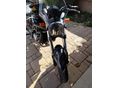 CAGIVA V-RAPTOR M2