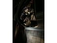 BMW 530 2019/10 - 5