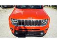 JEEP RENEGADE 2019/6 - 19