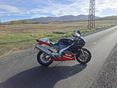 APRILIA RSV 1000 