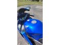 HONDA CBR 1100 XX 2001/4 - 10