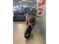 SUZUKI DL 800 2026 - 2