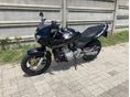 HONDA CB 600 F (HORNET) 2004 - 6