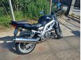 SUZUKI SV 650 N 2003/7 - 3