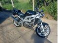 SUZUKI SV 650 N 2003/7 - 2