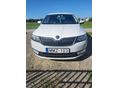 SKODA RAPID 2014/11 - 5