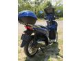 HONDA SH 300 2016/9 - 5