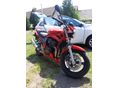 SUZUKI GSF 650 