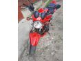 SUZUKI GSF 650 2005/6 - 5