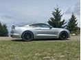 FORD MUSTANG Fastback GT 5.0 Ti-VCT (Automata)
