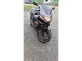 YAMAHA YZF 600 R Thundercat
