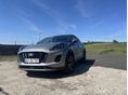 FORD PUMA 2025/2 - 4