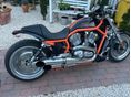 HARLEY-DAVIDSON V-ROD (VRSCB) 