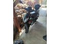 KEEWAY F-ACT 50 East-Eva 4t 50