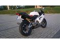 APRILIA RS 125 2006 - 5