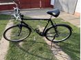 BICYCLE Steppenwolf Tao