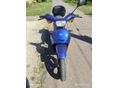 PIAGGIO FREE 50 2020/1 - 9