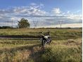 SUZUKI DR 125 SM 